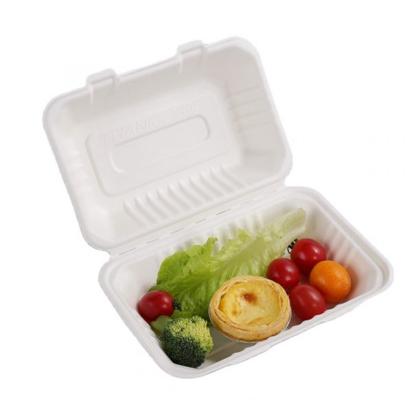 getbiopak bagasse17