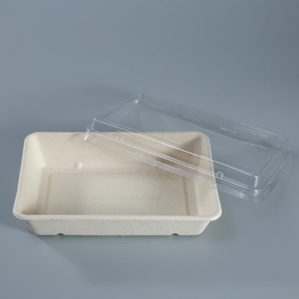 28 oz getbio® disposable sugarcane bagasse rectangular tray