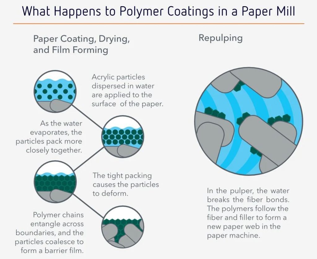 Zero-Plastic Water Based Barrier Coating Embossed Paper Cups