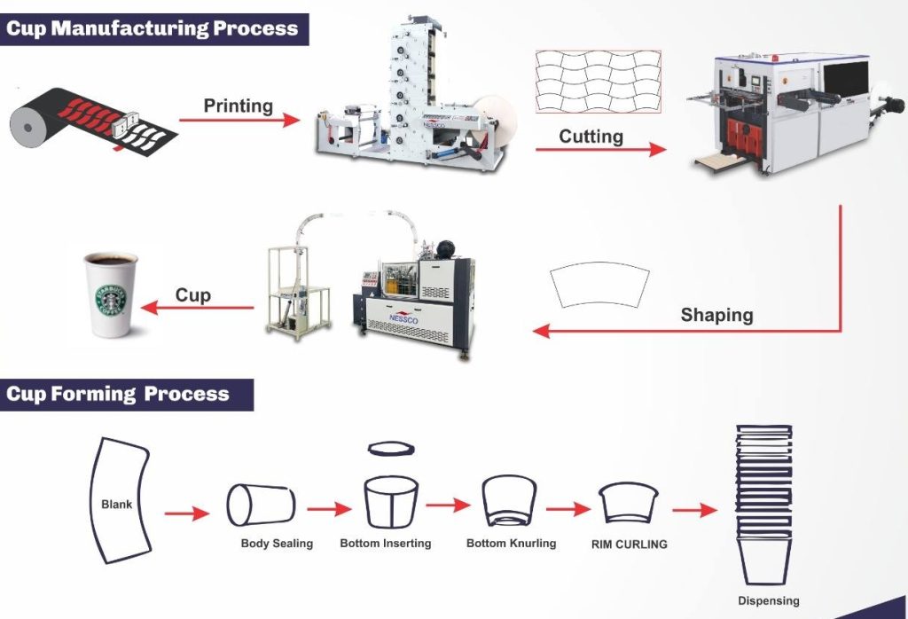 paper cup forming process