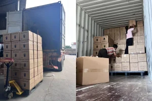 paper cups pallted packed loading into containers