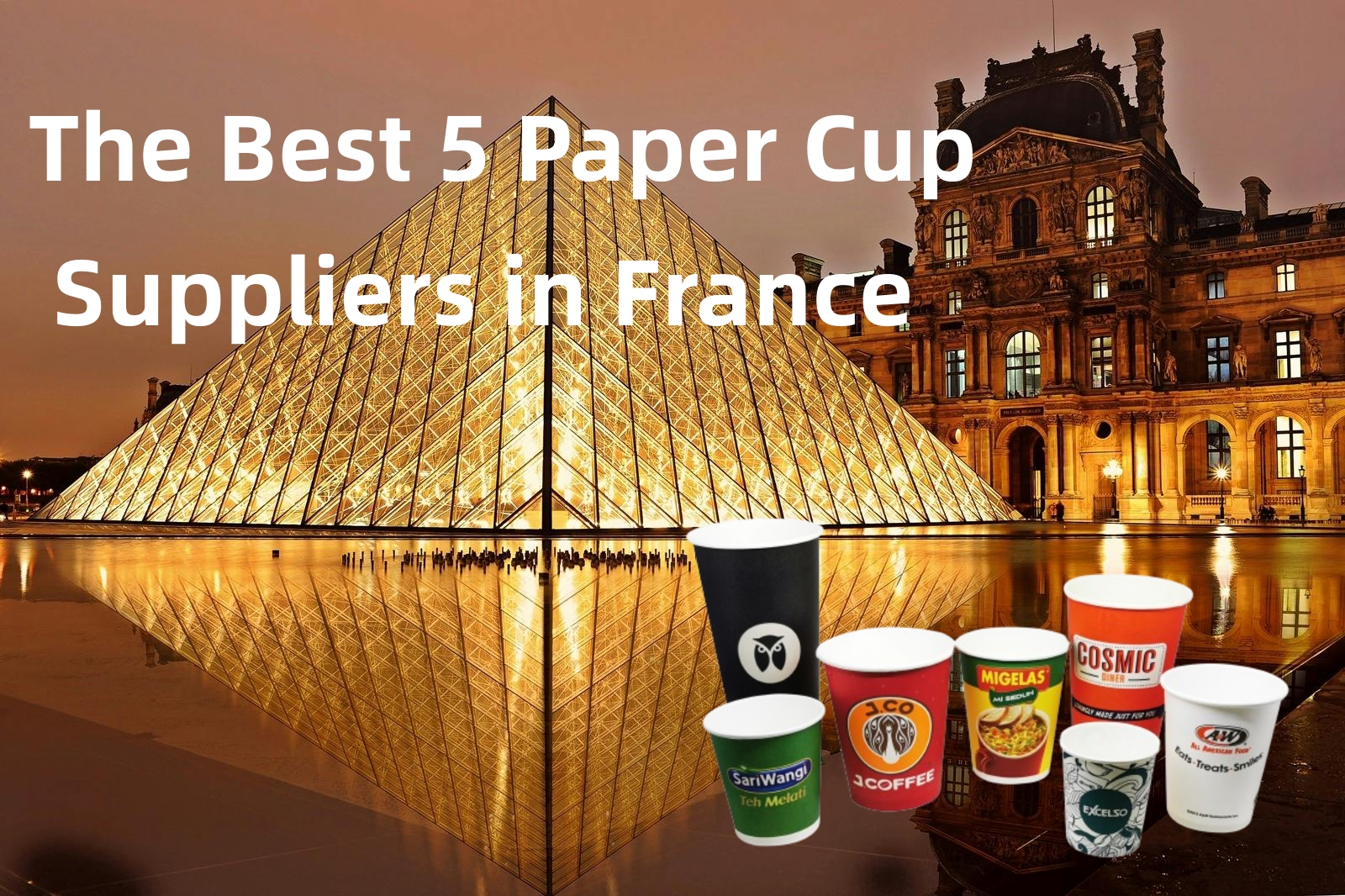 the best 5 paper cup suppliers in france