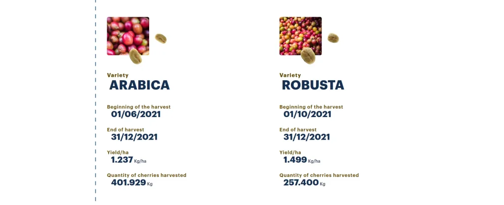 lavazza the famous italian coffee brand is using algorand v0 v9zcufl3qelc1