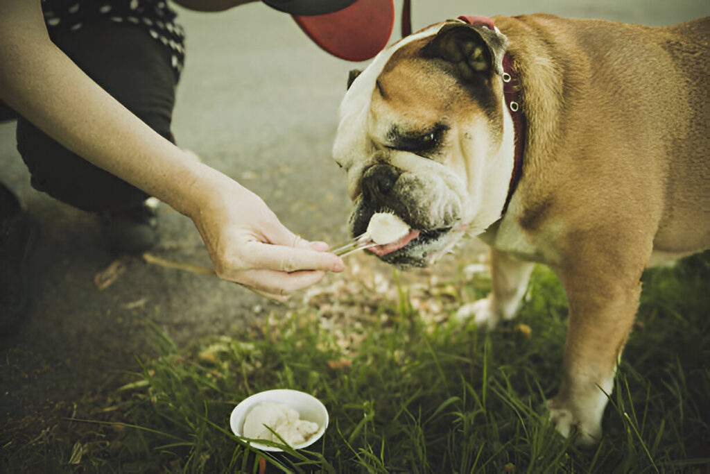 paper pup cup in dog face